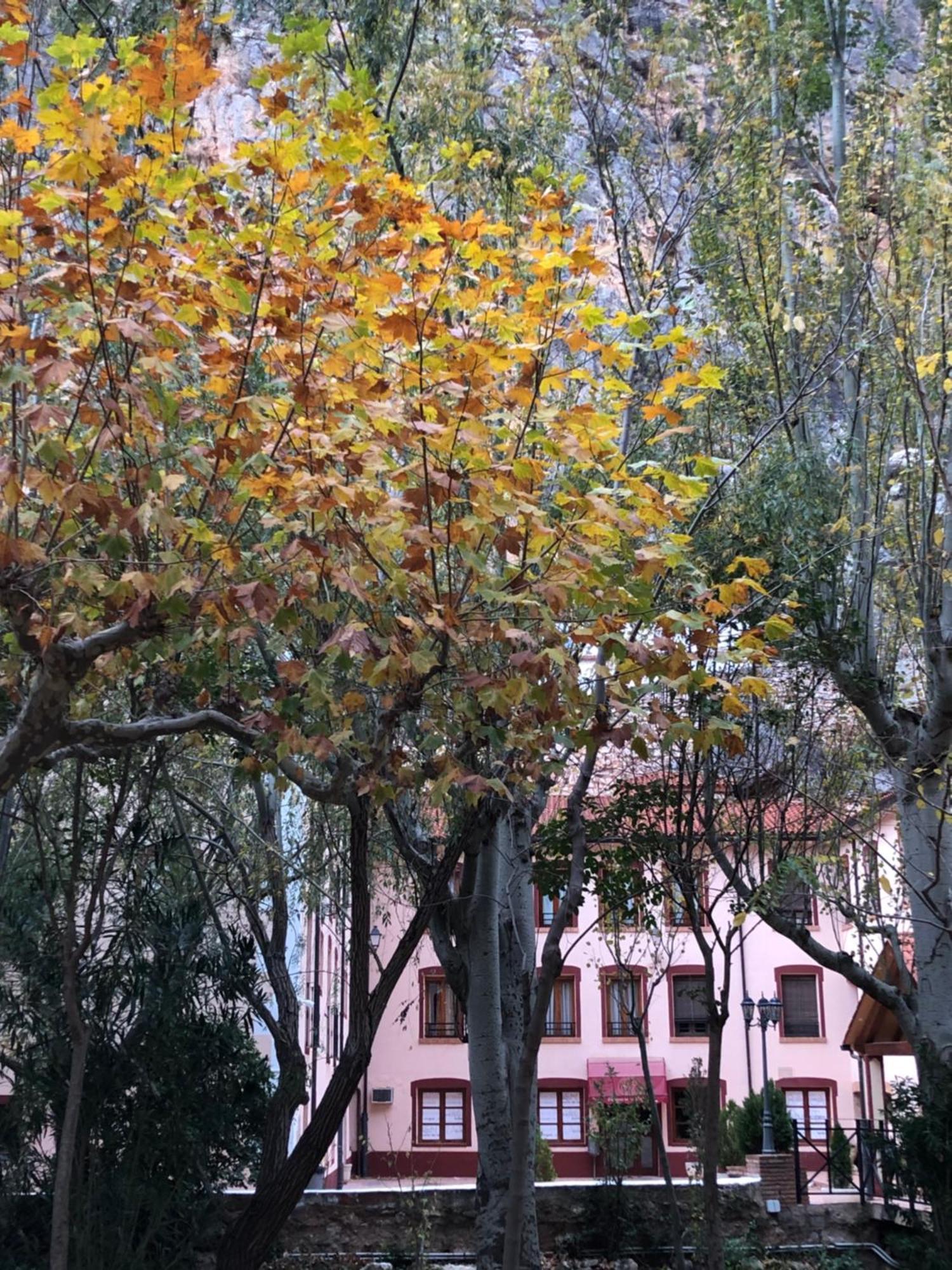 Hotel Balneario De La Virgen ハラバ エクステリア 写真